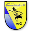 SV Gammelsbach